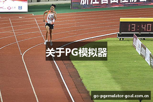 关于PG模拟器